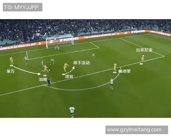 武汉羽毛球队速度对比深度解析与战术优势探讨