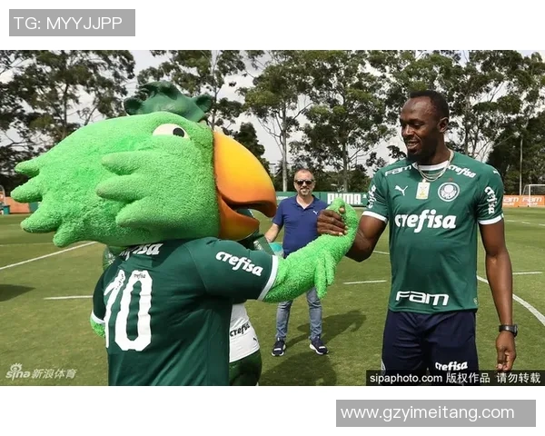 网友热潮模仿男足球明星技艺大比拼引发热议与欢笑