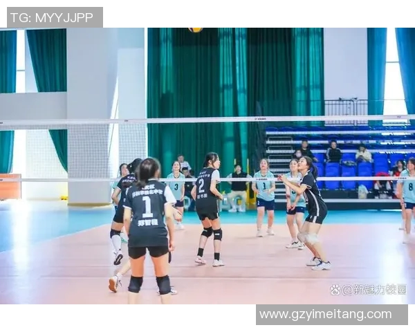 南京排球队跻身全国排球速度排行榜第十名展现出色竞技实力