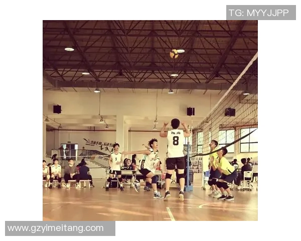 杭州排球队的力量探秘:激情与团结铸就辉煌成就 杭州排球队的力量探秘:激情与团结铸就辉煌成就