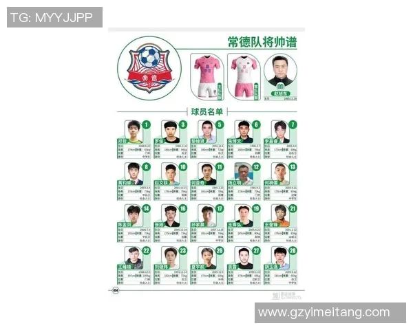 湖南足球明星盘点及其在国内外赛场的精彩表现与成就分析