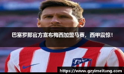mk体育官网入口