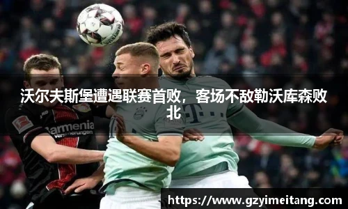 mk体育官网入口