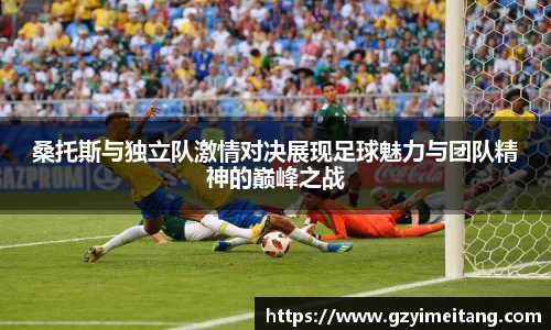 mk体育官网入口