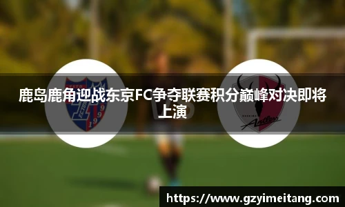 mk体育官网入口