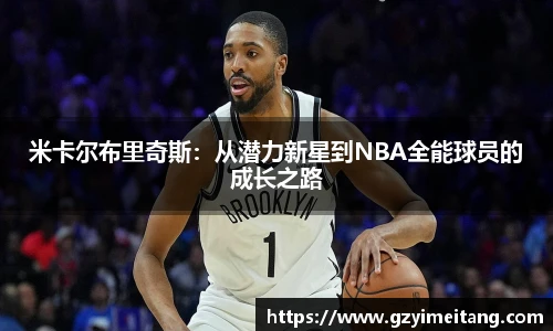 mk体育官网入口